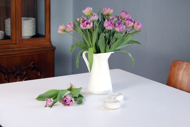 Suchmaschinenoptimierung ist wie ein Zuhause, das ständig gepflegt werden muss.